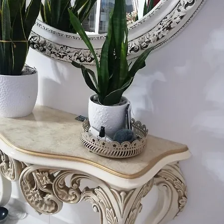 Apartment Palataki *